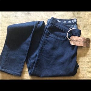 NWT Earnest Sewn Skinny Leg Audrey Denim Pants